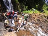  Kauai Tours